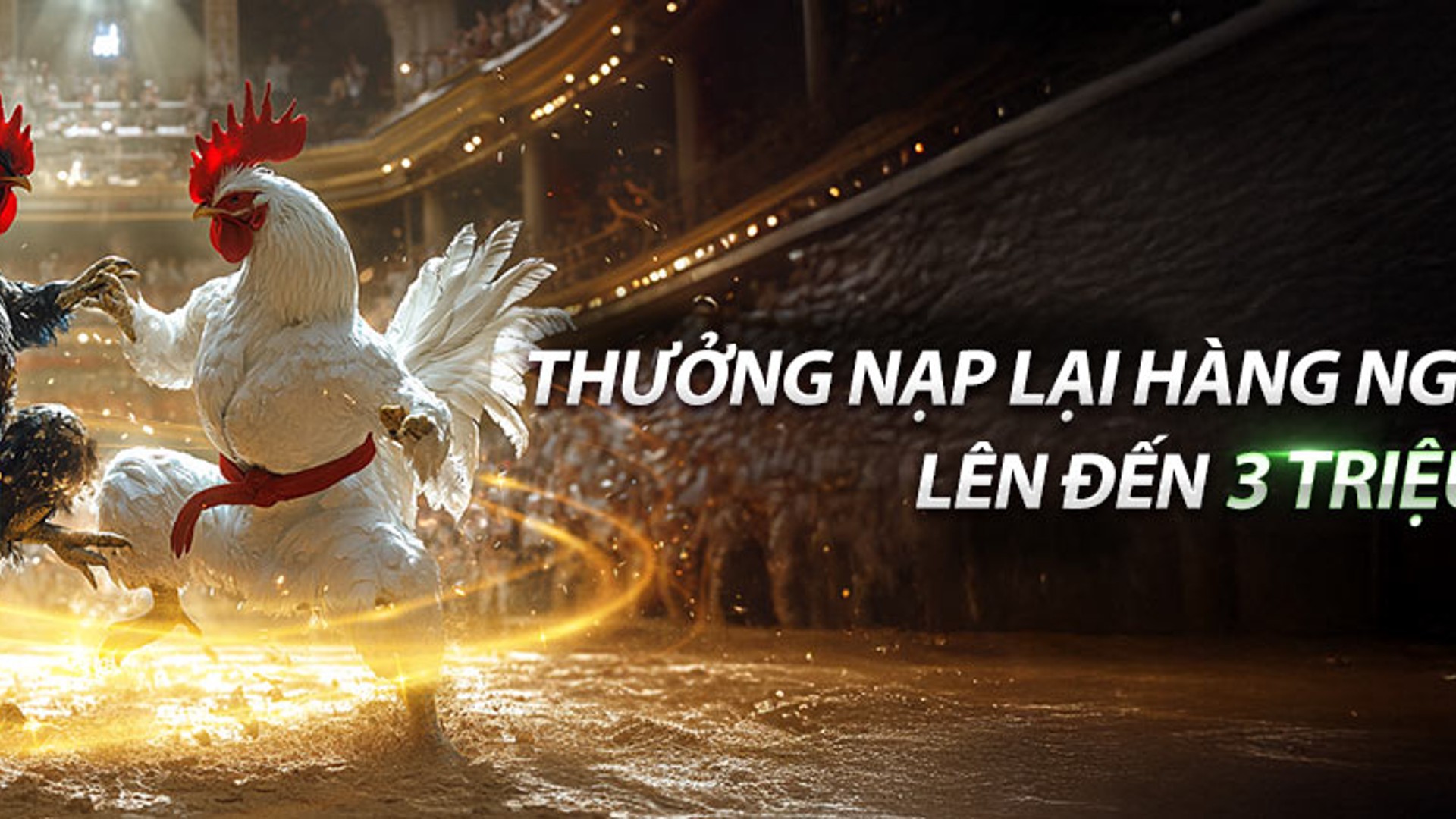 Đá gà bi88 - Sân đấu gà trực tuyến