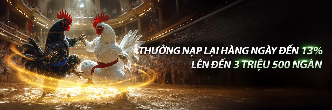 Hình ảnh một trận đấu Đá gà bi88 sôi động với khán giả cổ vũ cuồng nhiệt