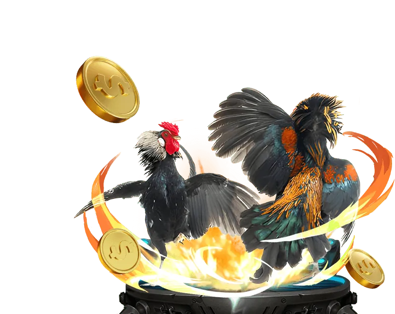 Biểu đồ giải thích RTP và Biến động trong Slot game