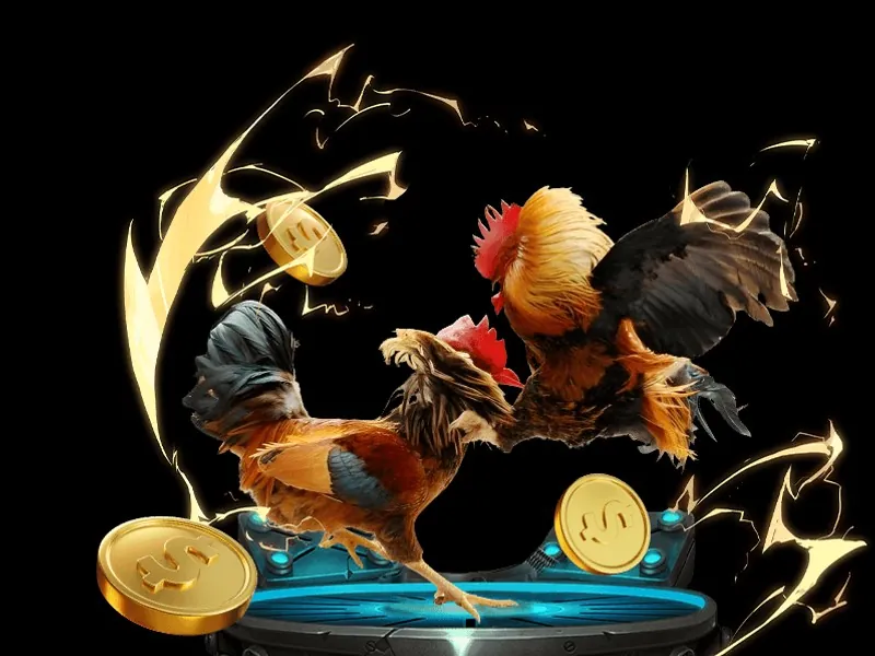 Cá cược Đá gà bi88 trên di động